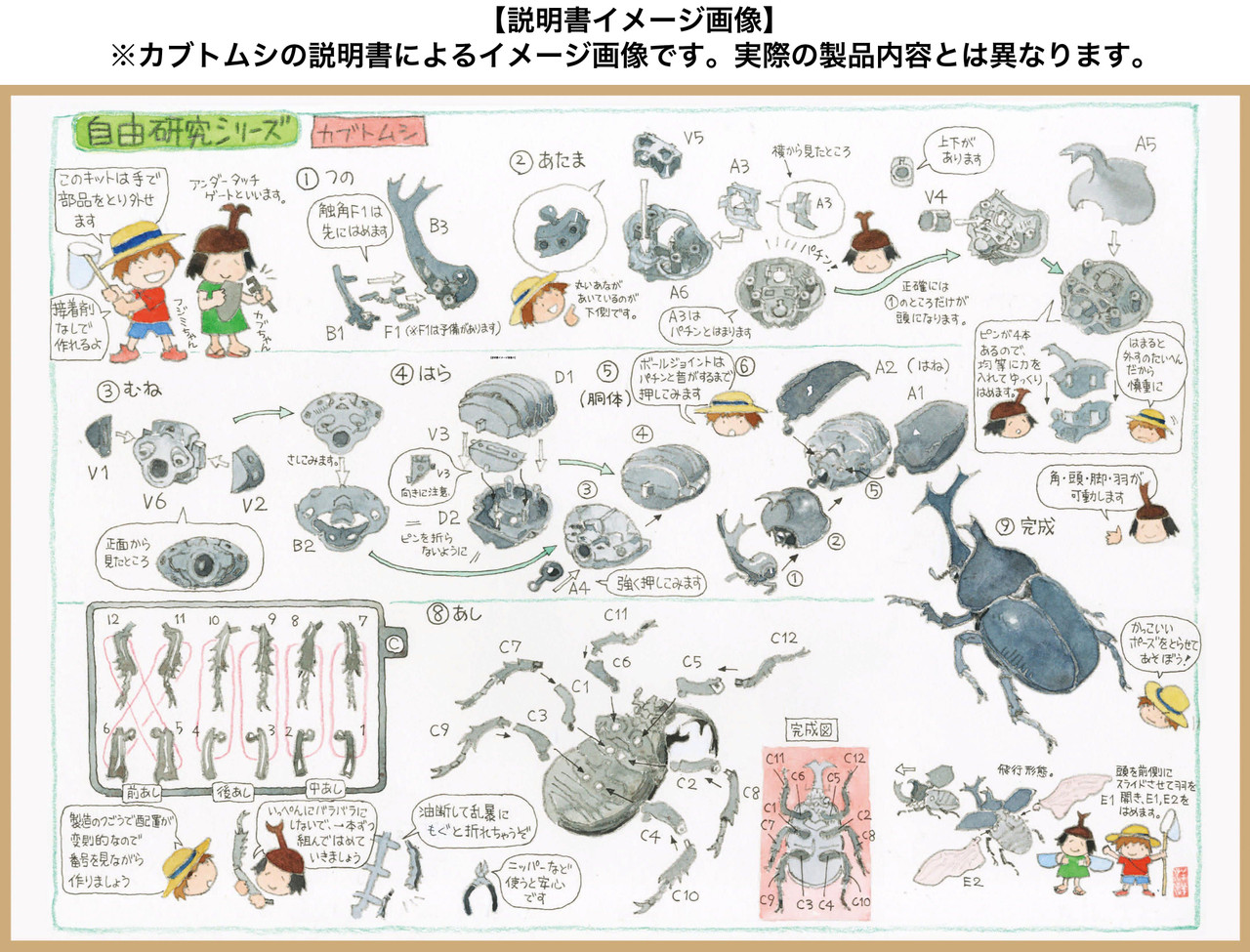 Research Series Hercules Beetle Special Edition w/Commentary Ver.2