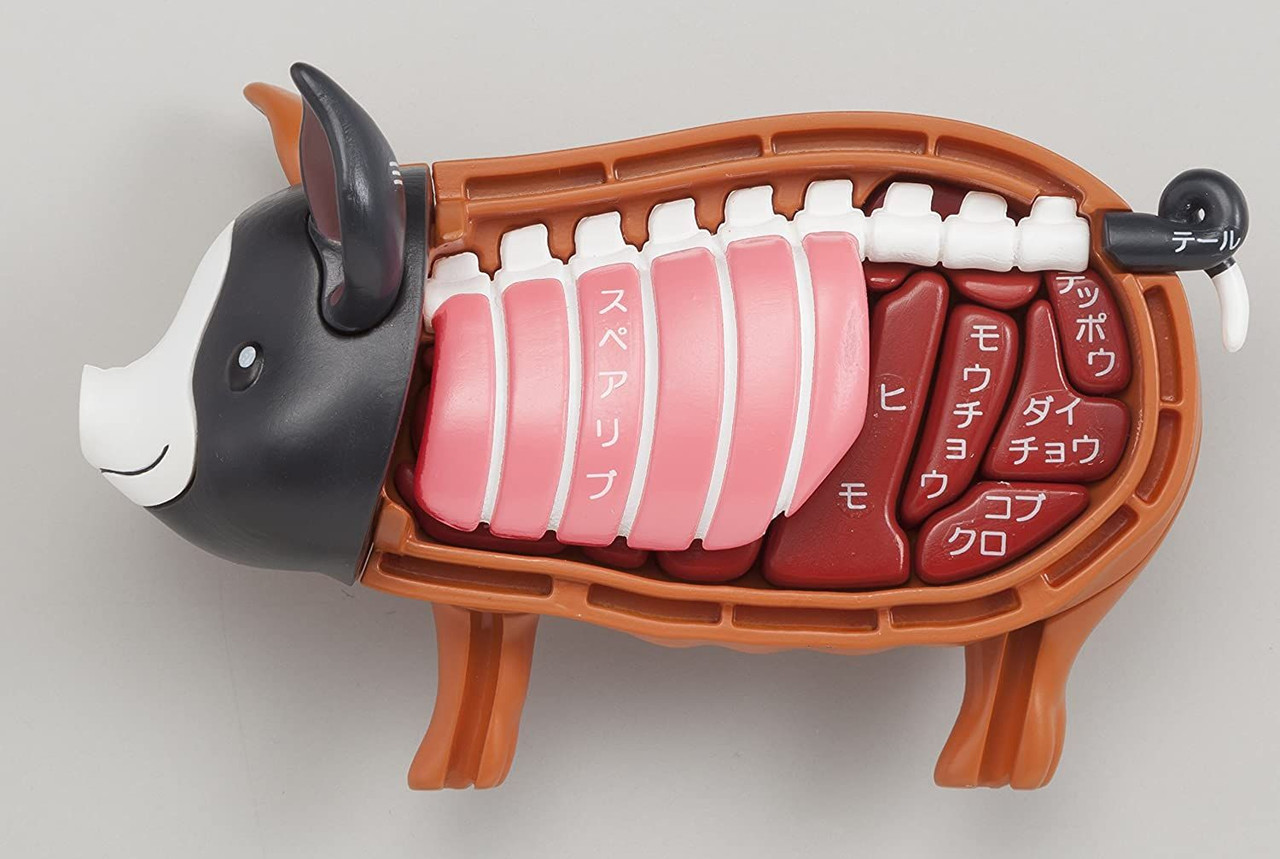 3D Anatomy Puzzle Black Pig