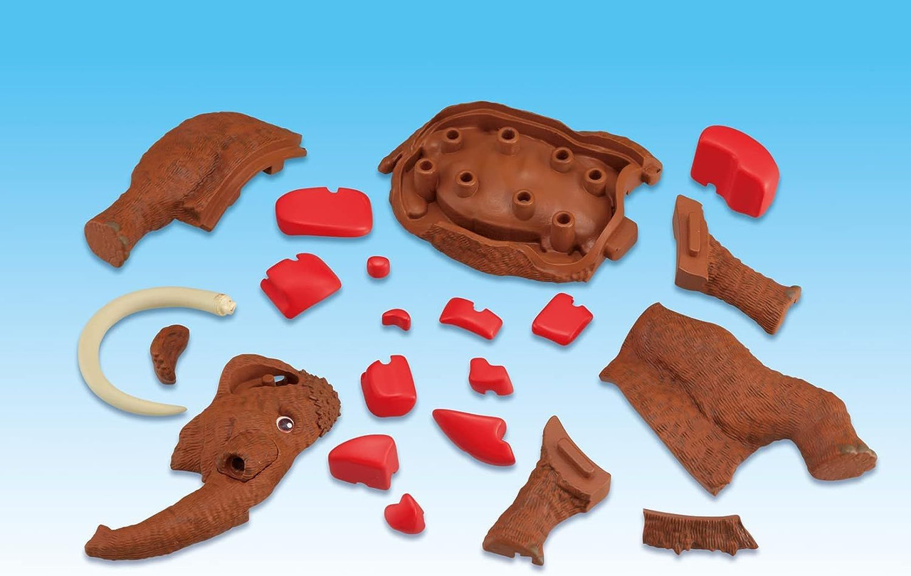 3D Anatomy Puzzle Mammoth