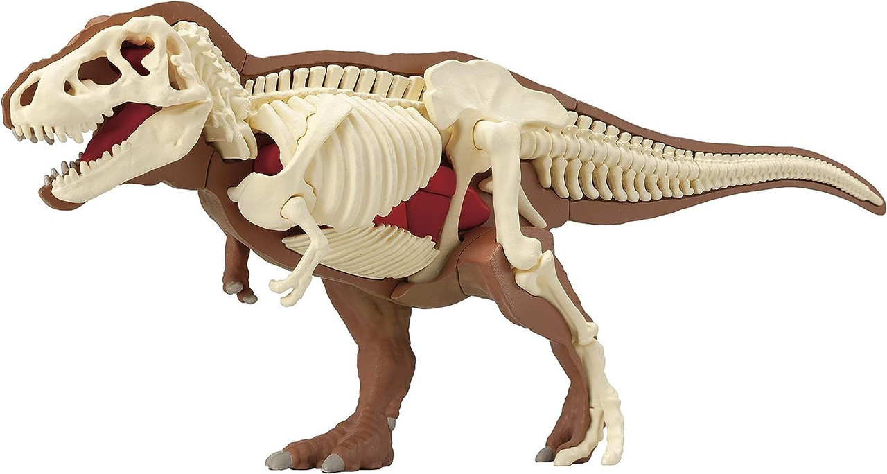 3D Anatomy Puzzle Tyrannosaurus T-Rex