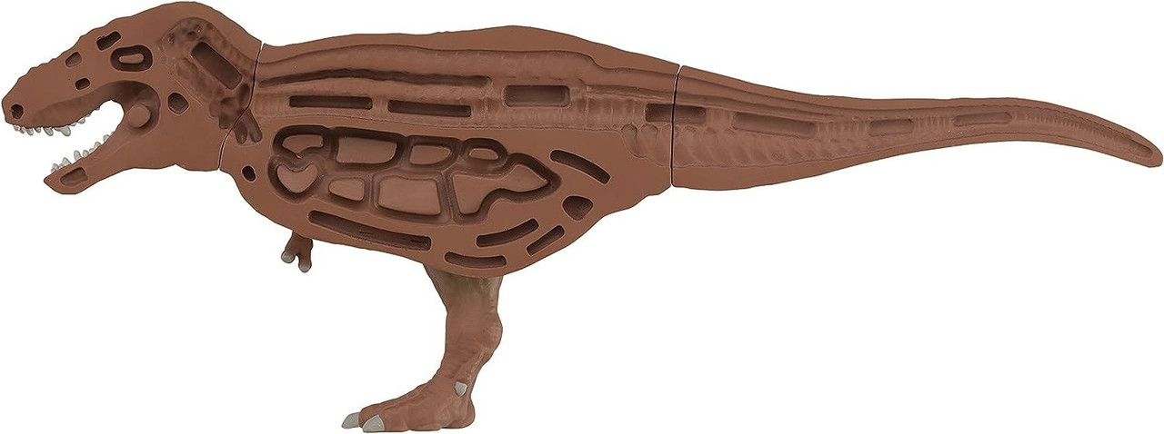 3D Anatomy Puzzle Tyrannosaurus T-Rex
