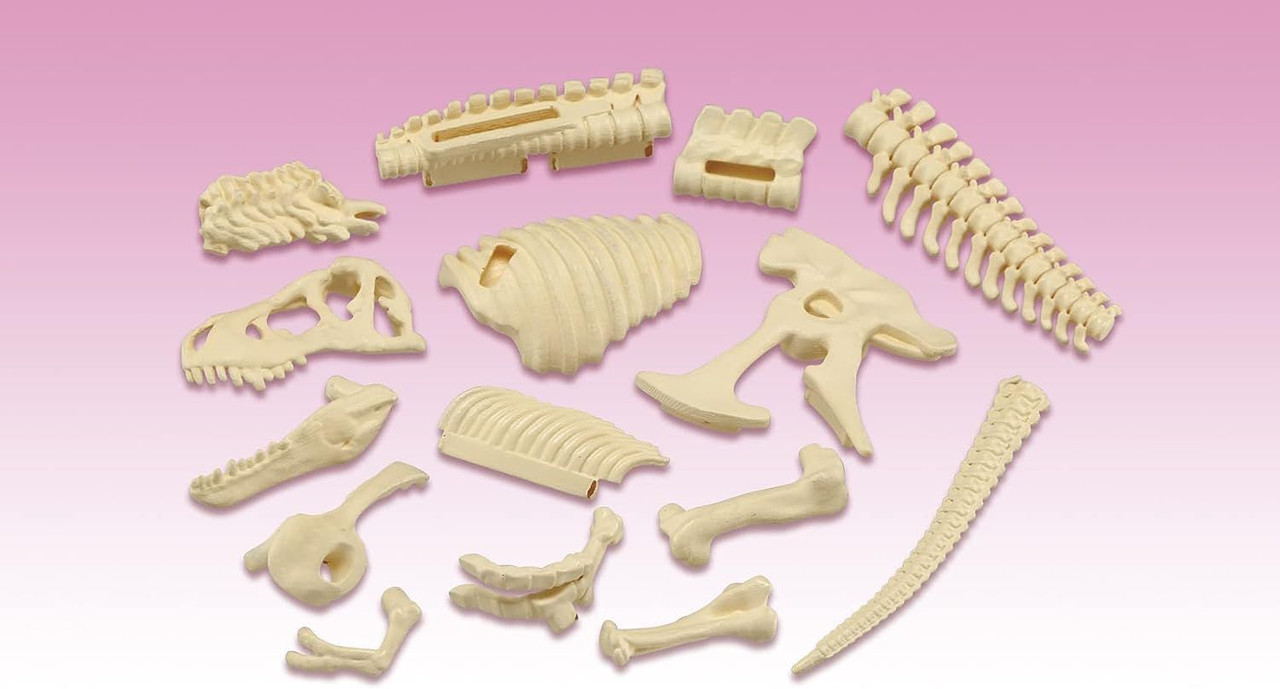 3D Anatomy Puzzle Tyrannosaurus T-Rex