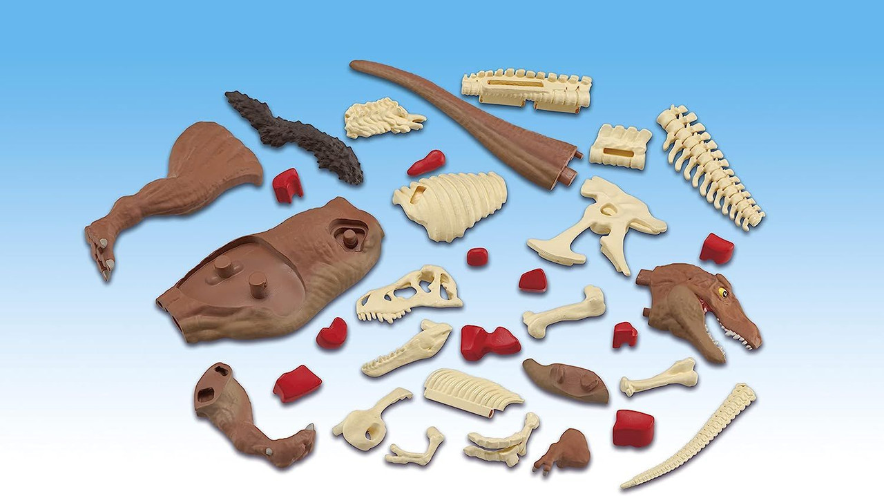 3D Anatomy Puzzle Tyrannosaurus T-Rex