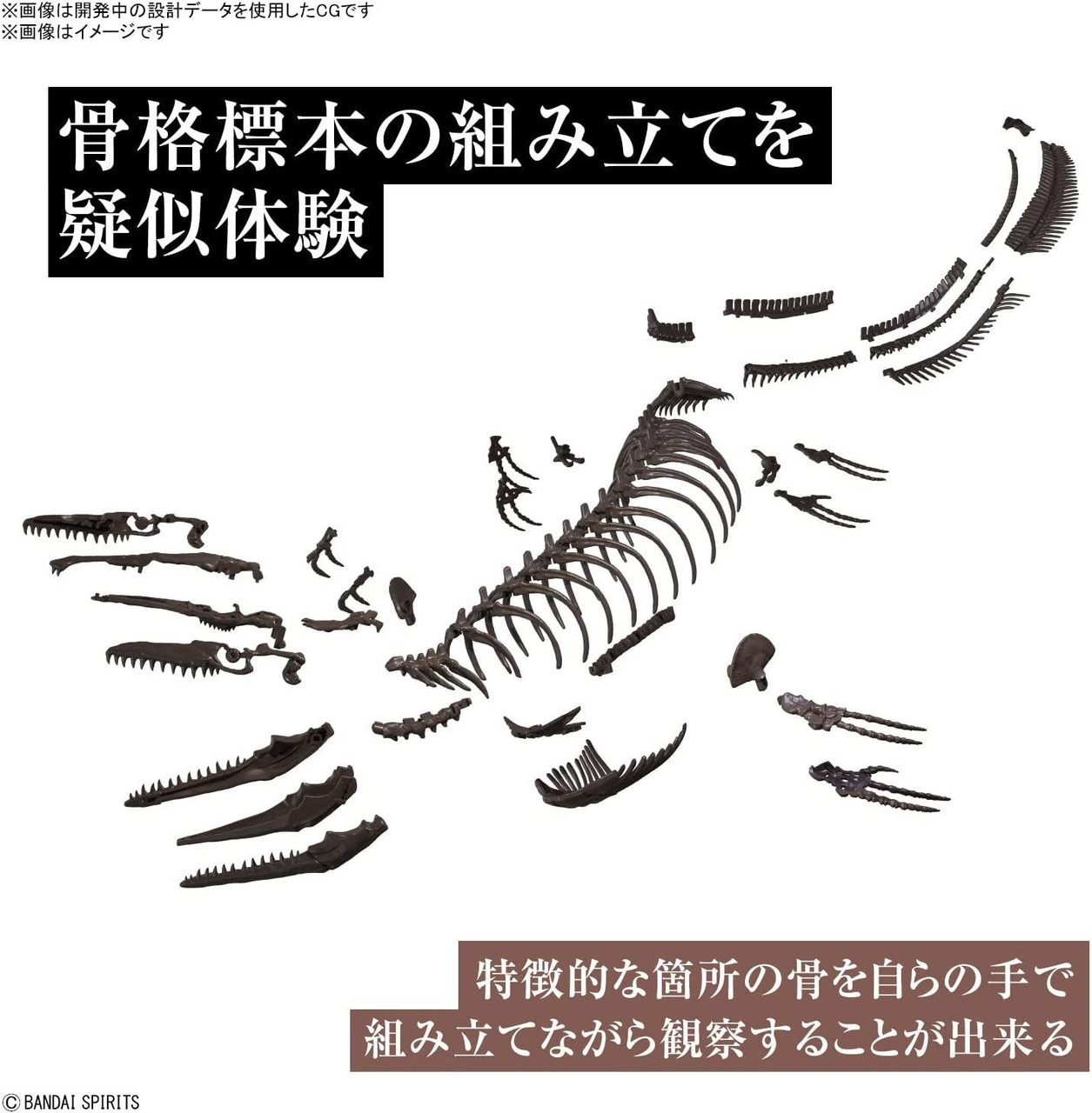 Bandai Spirits Bandai Imaginary Skeleton Mosasaurus 1/32 Model Kit - A-Z Toy Hobby Gundam Hg Bandai Spirits Bandai Imaginary Skeleton Mosasaurus 1/32 Model Kit - A-Z Toy Hobby Gundam Hg