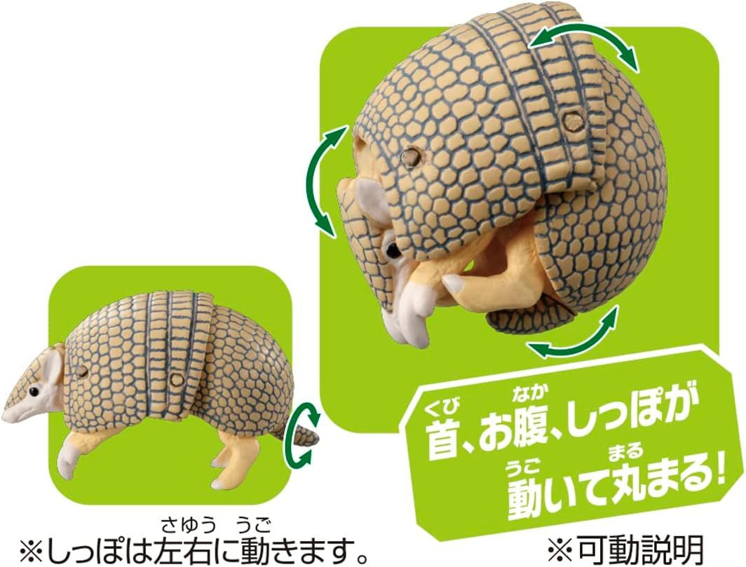 Ania Armadillo (Brazilian Three-banded Armadillo)