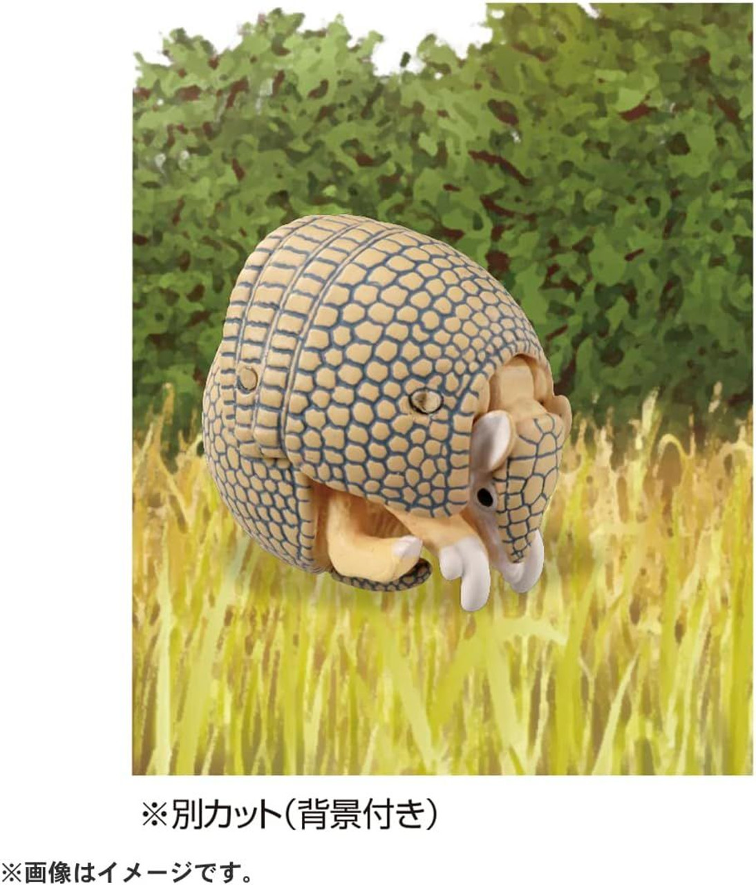 AS-45 Armadillo (Brazilian Three-banded Armadillo) Ania