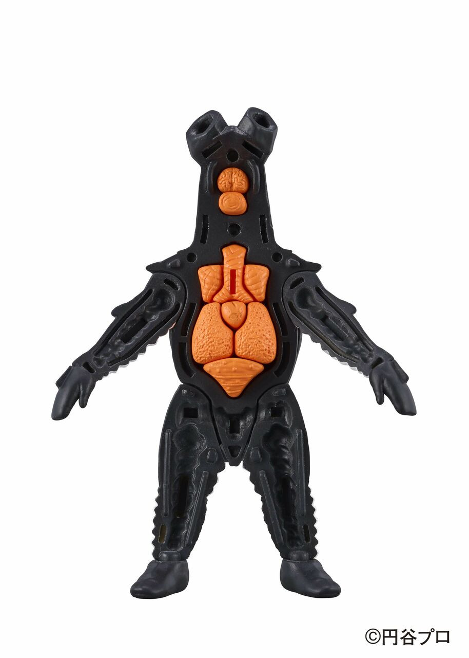 Anatomy Puzzle Fantasy Zetton (Ultraman)