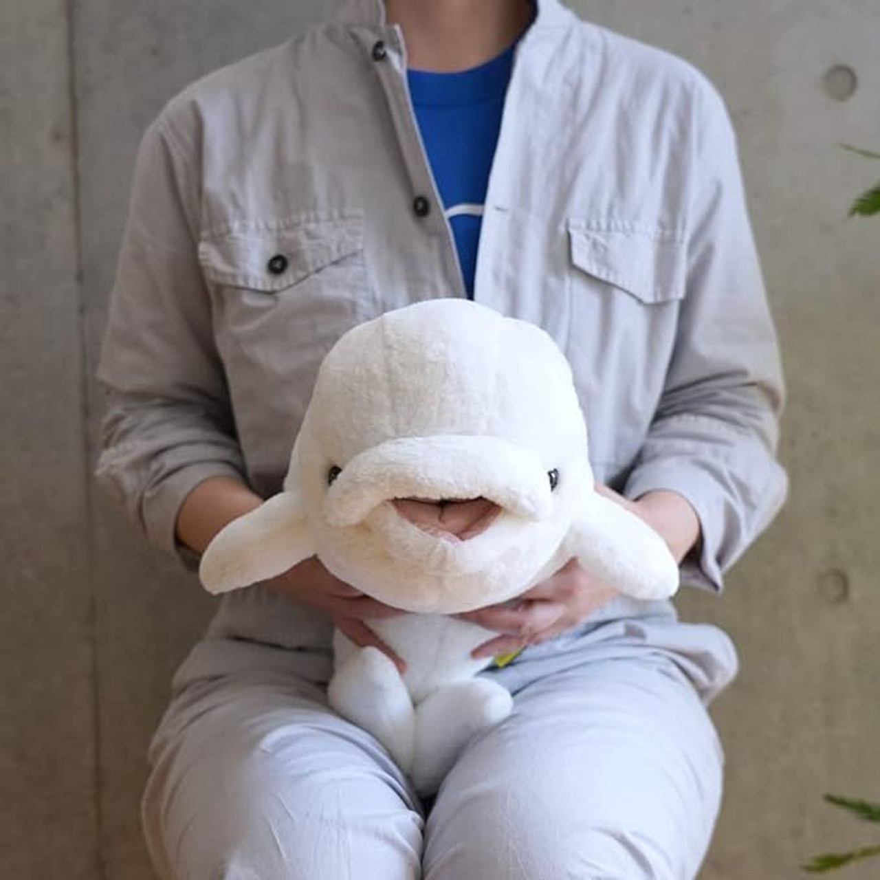 Beluga on X: My limited edition Begula plush will release on Feb 3 @ 3pm  EST!! don't miss it 😎  / X