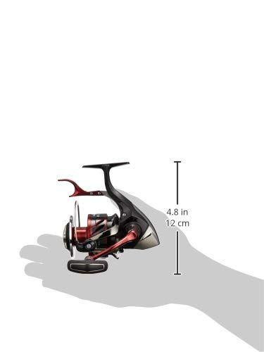 18 BB-X REMARE 8000D Spinning Reel