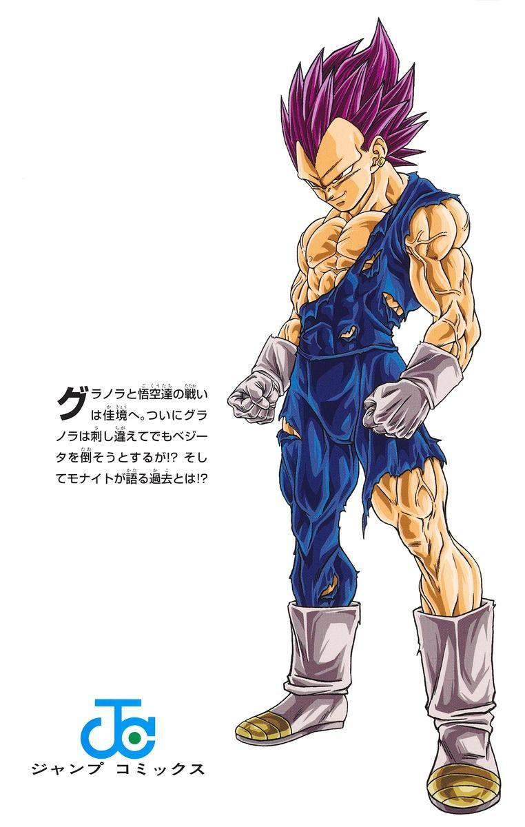 Dragon Ball Super Vol.18 (Jump Comics) Manga **Japanese Language**