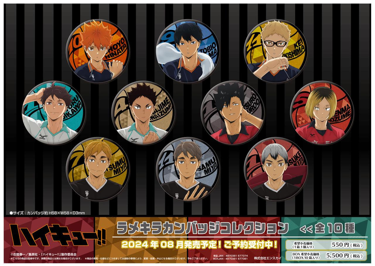 Haikyu!! Laminated Button Badge Collection 10pcs Box