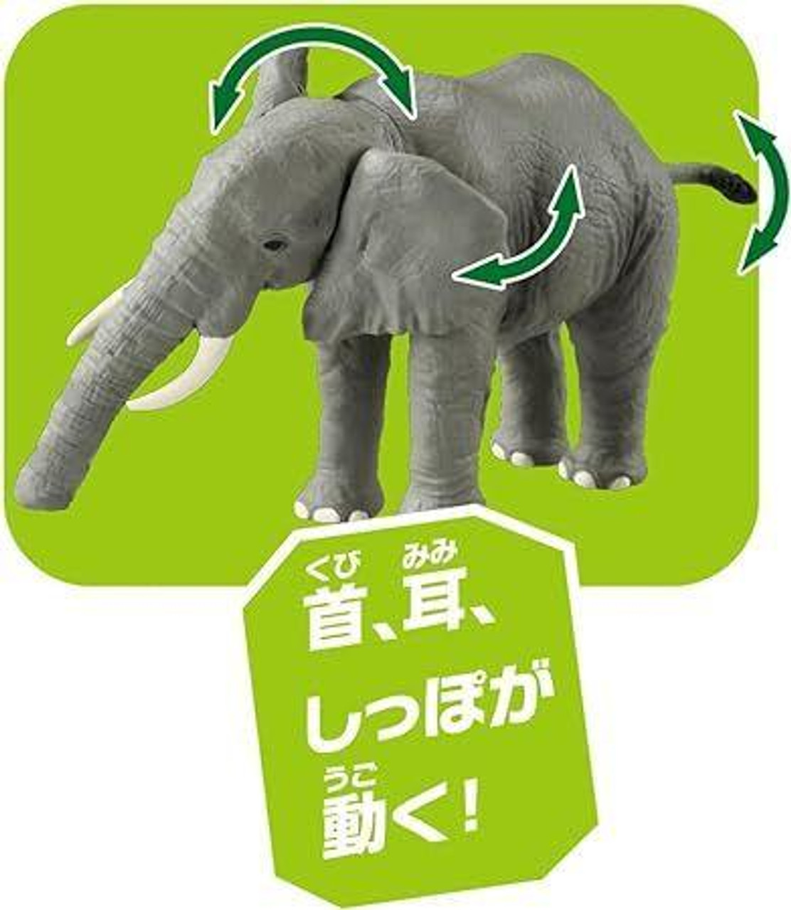 ELEPHANT 2冊 Ania Kingdom Elefa (African Elephant)