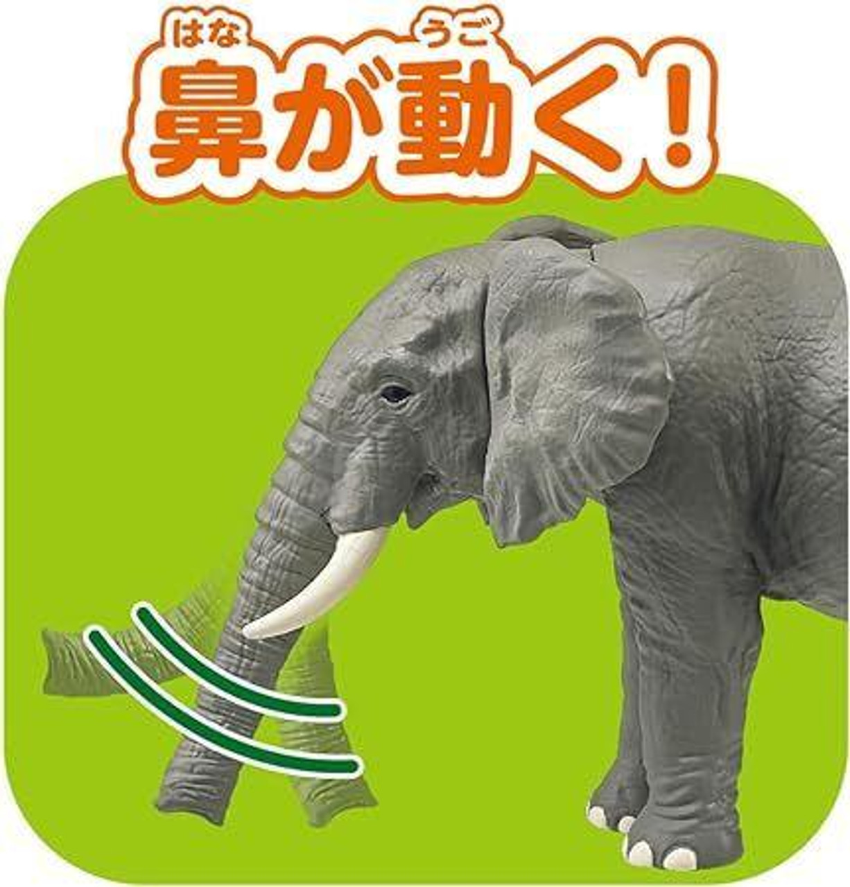 ELEPHANT 2冊 Ania Kingdom Elefa (African Elephant)