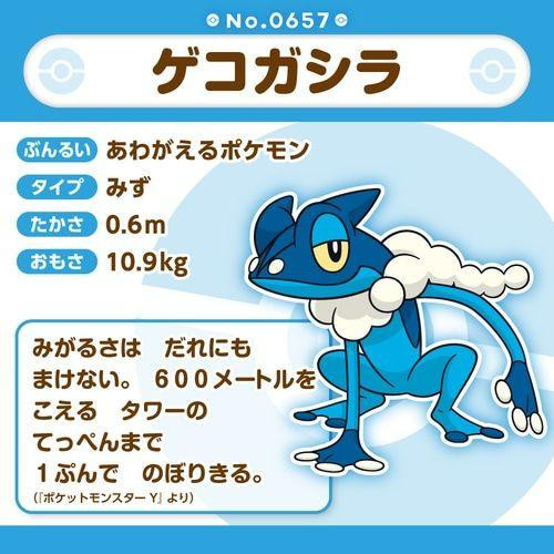 Pokemon Center Original 657 Plush Pokemon Fit Frogadier