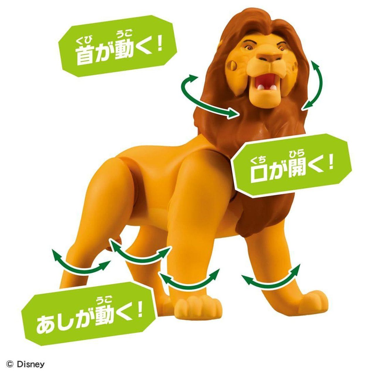 Ania The Lion King - Mufasa