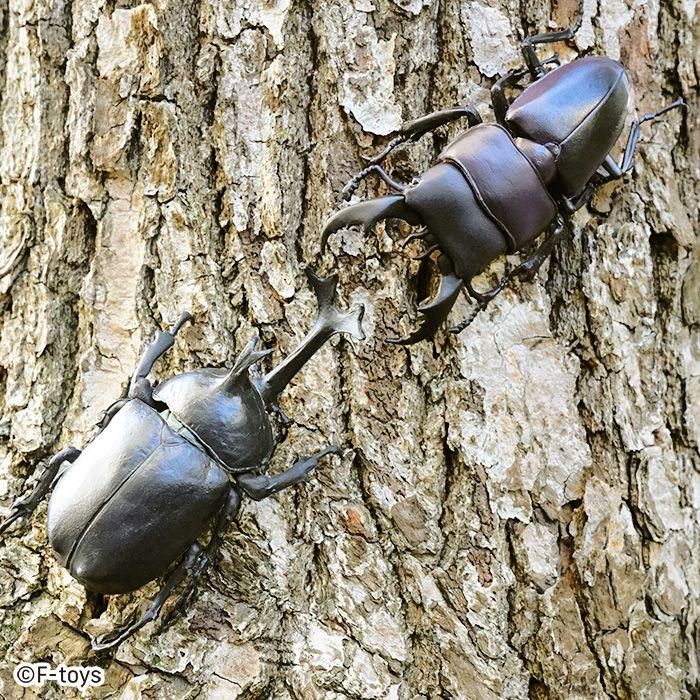 CROOJA BEETLE　154 楽天市場】24-25 CROOJA / クロージャ BEETLE ビートル メンズ