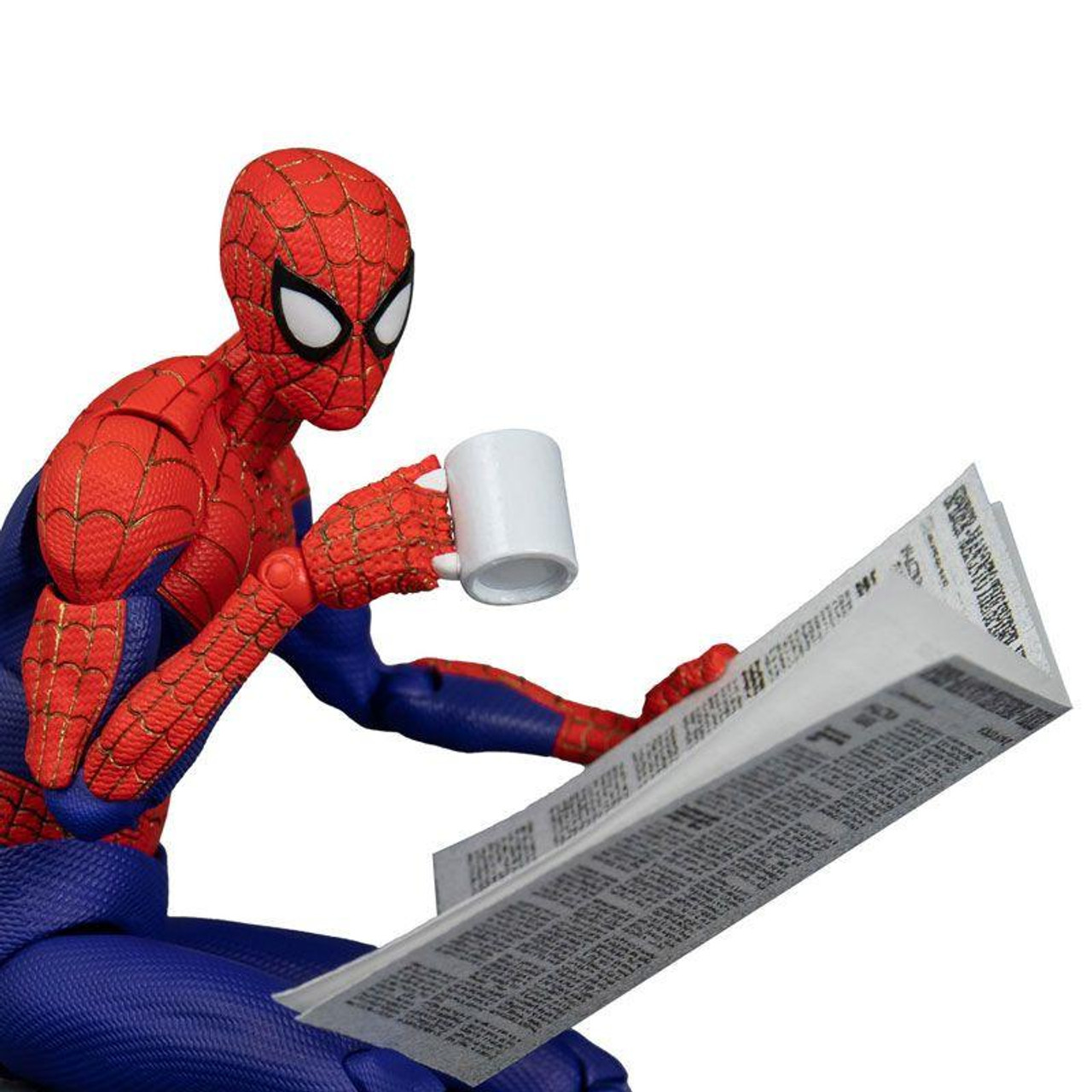 センペルビウム輸入 Red Spider man センペルビウム輸入 Red Spider man