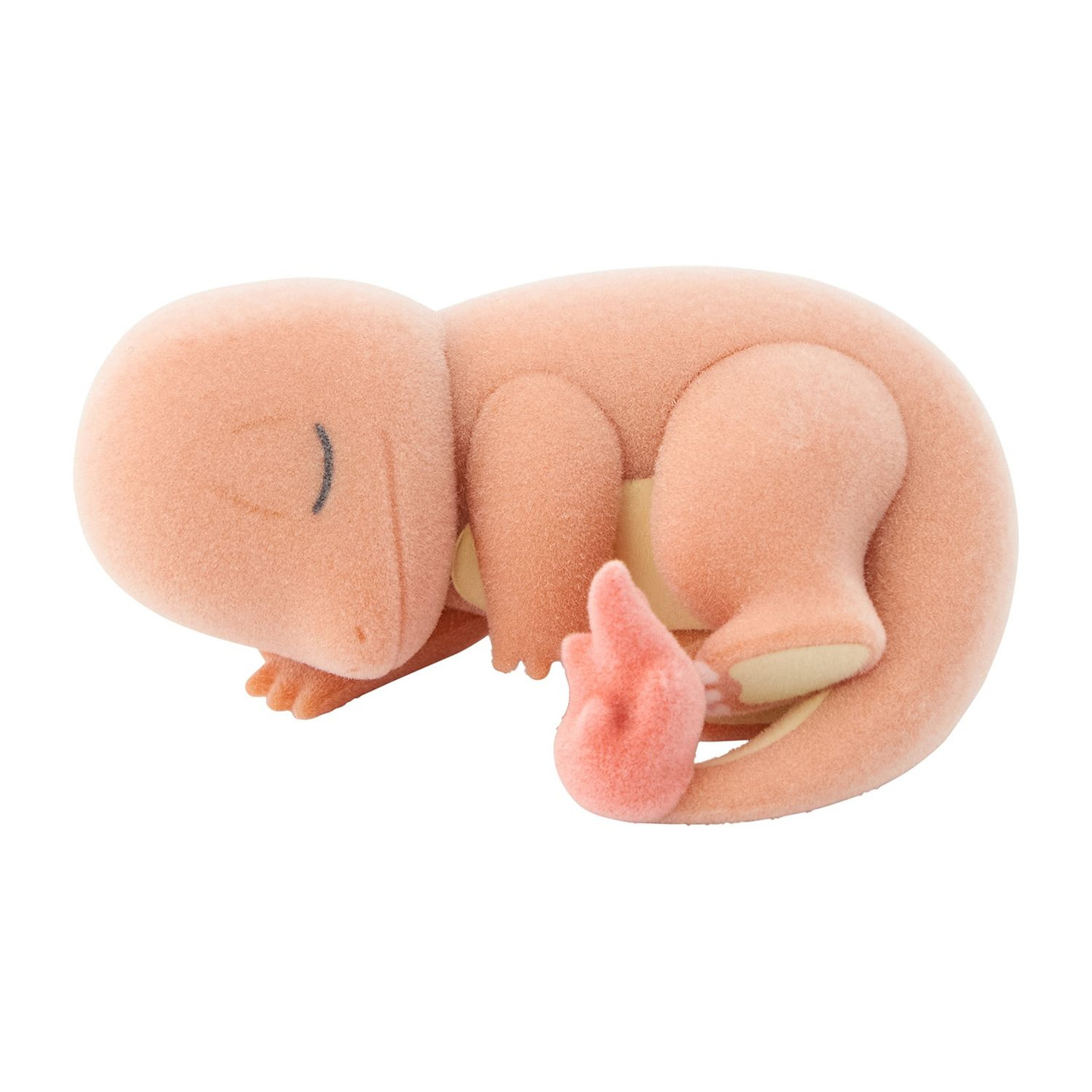 Pokémon Sleep 正規品 Pokémon Company announces Pokémon Sleep plushies in Japan | GoNintendo