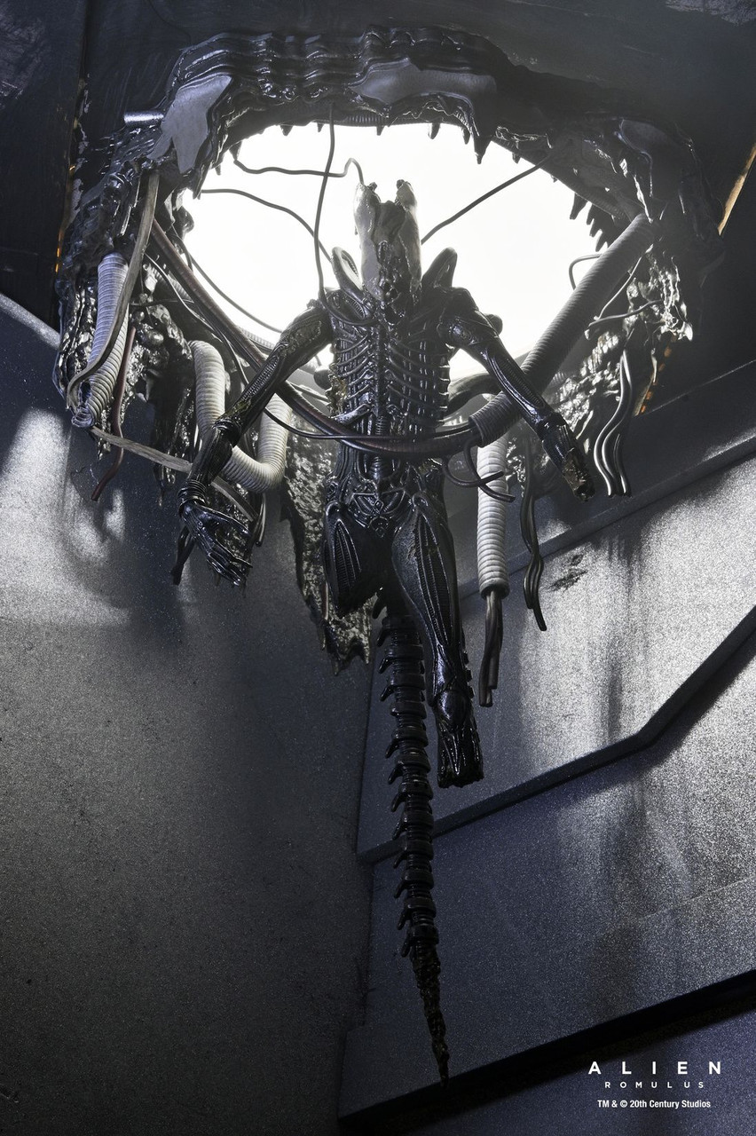 特撮 Alien Xenomorph AmiAmi [Character & Hobby Shop] | Alien: Romulus / Xenomorph