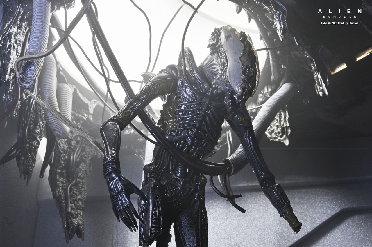 特撮 Alien Xenomorph AmiAmi [Character & Hobby Shop] | Alien: Romulus / Xenomorph