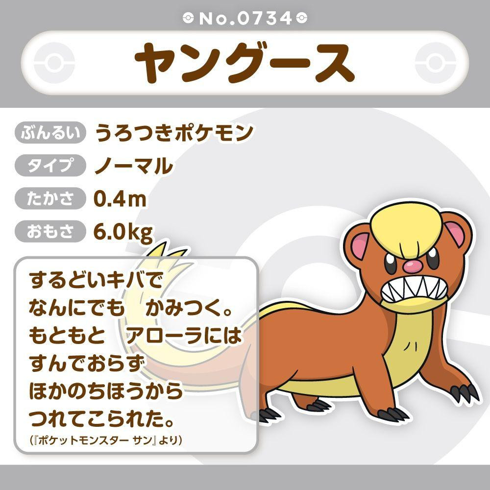 Pokemon Center Original 734 Plush Pokemon Fit Yungoos - Plaza Japan Pokemon Center Original 734 Plush Pokemon Fit Yungoos - Plaza Japan