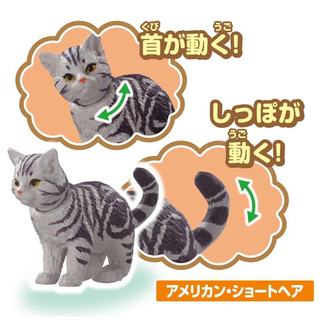 Ania Wan Nyan Lively Set