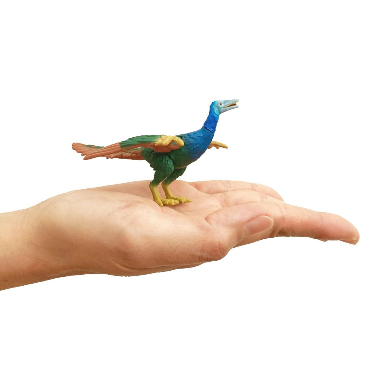 Ania Archaeopteryx