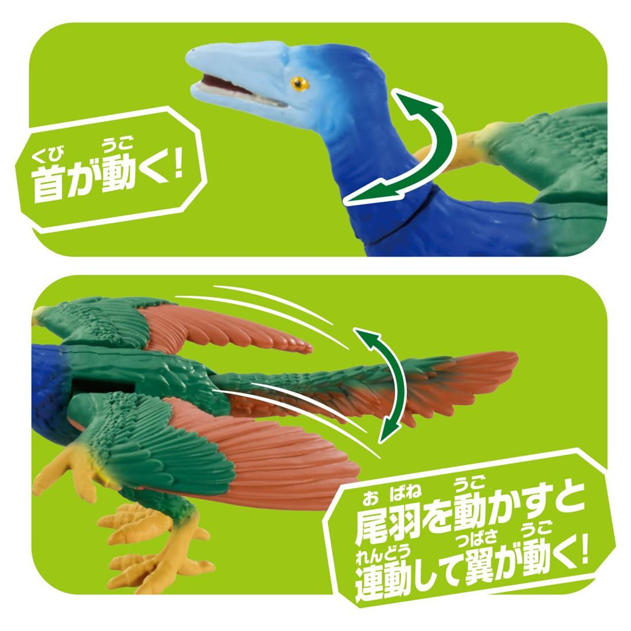 Ania Archaeopteryx