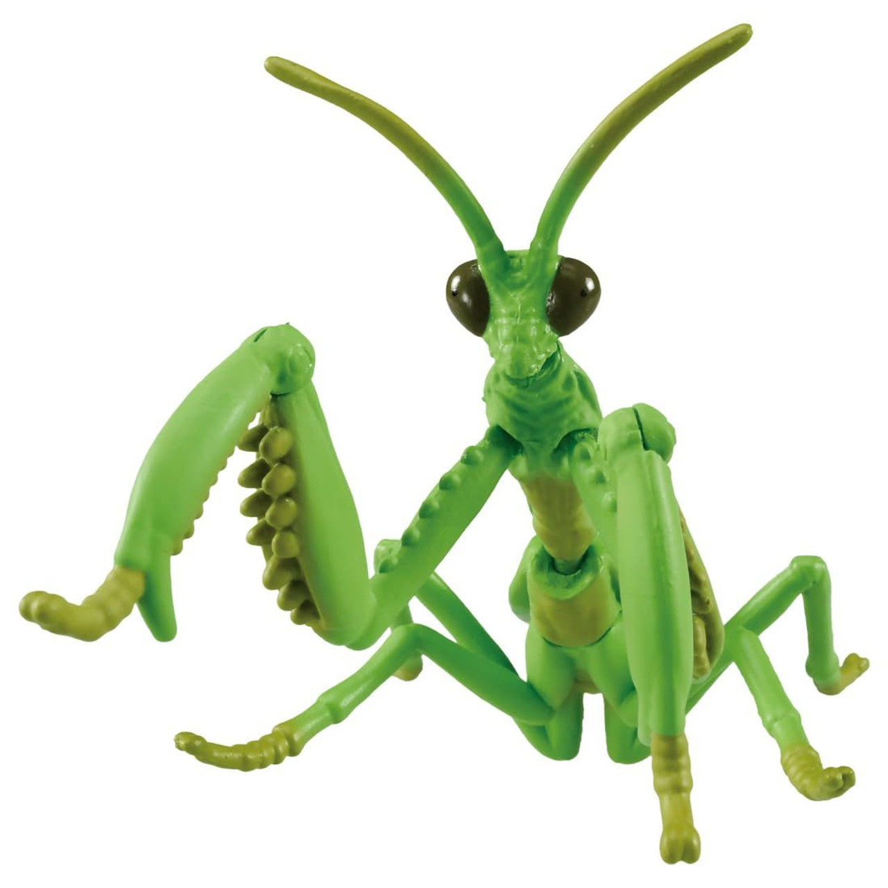 CROOJA MANTIS(マンティス)150cm 24-25 予約商品] 154cmラスト1本！25-26 CROOJA スノーボード