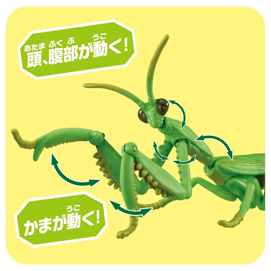 Ania Giant Mantis