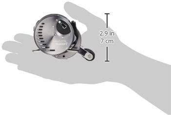 20 Calcutta Conquest DC 101HG Reel (Left Handle)