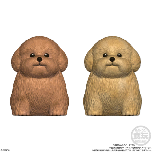 Mocchiri Kororin Dog Box (12pcs) Mocchiri Kororin Dog Box (12pcs)