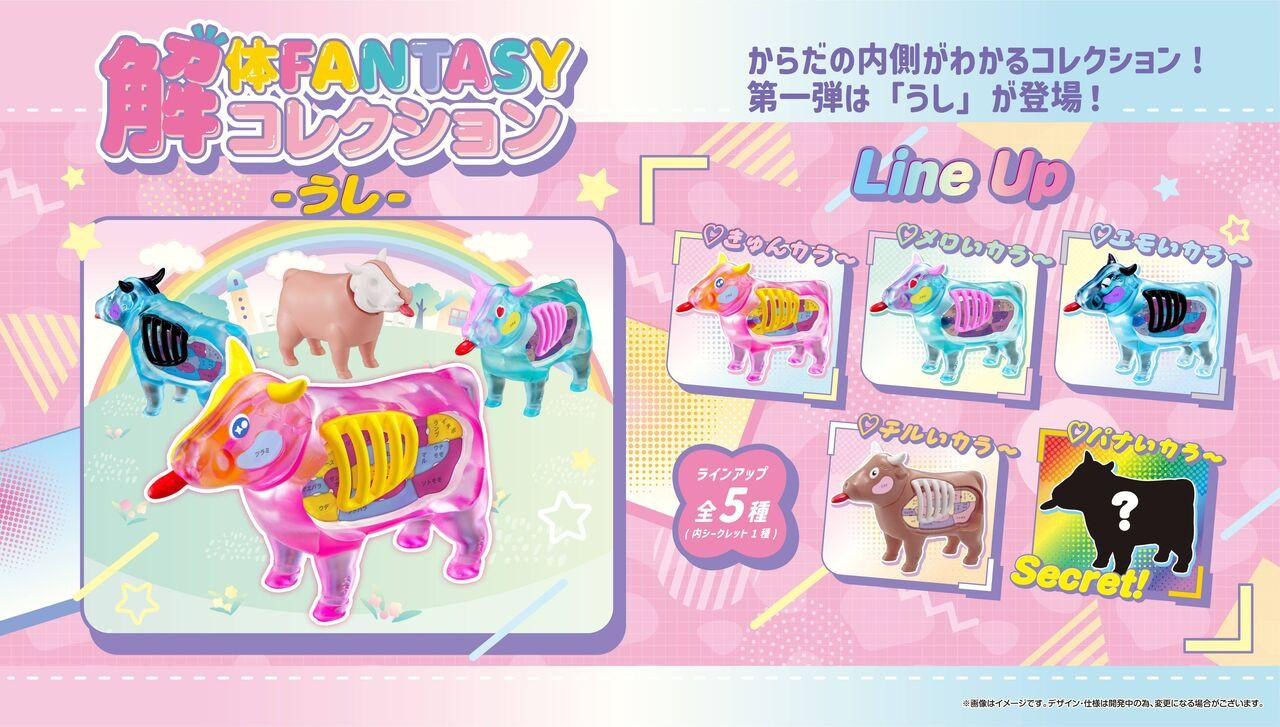 KAITAI FANTASY Collection Cow Box (4pcs)