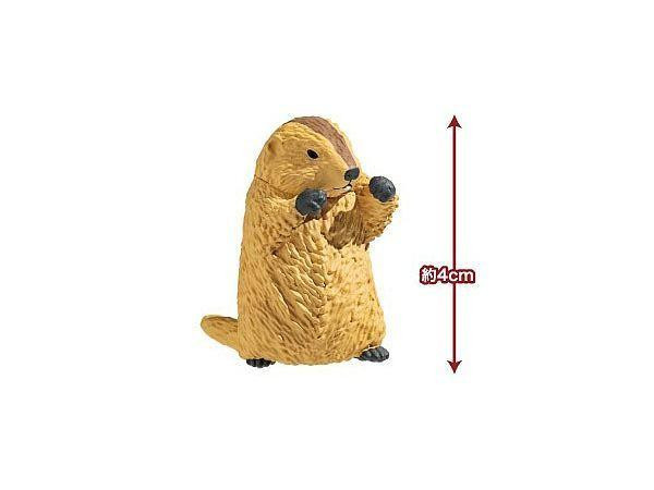 Marmot Royale 10 Piece Box Ale