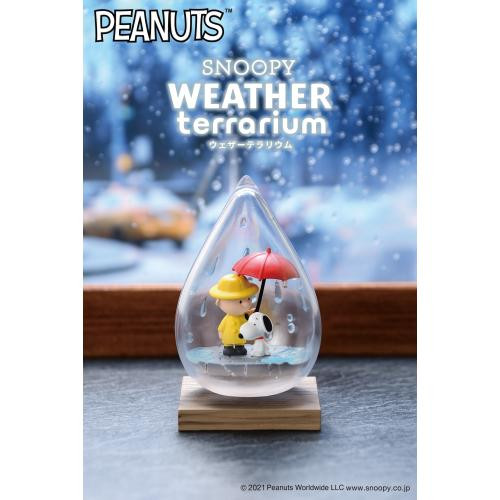 Snoopy Weather Terrarium (6 Pcs Box) (Reissue)