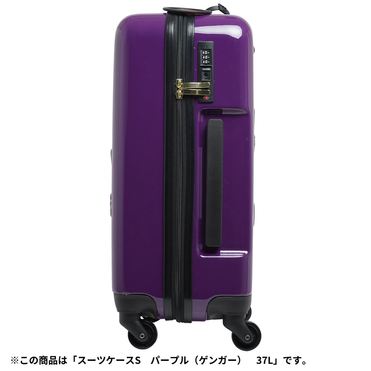 Pokemon Center Original Suitcase S Black (Gengar) 37L