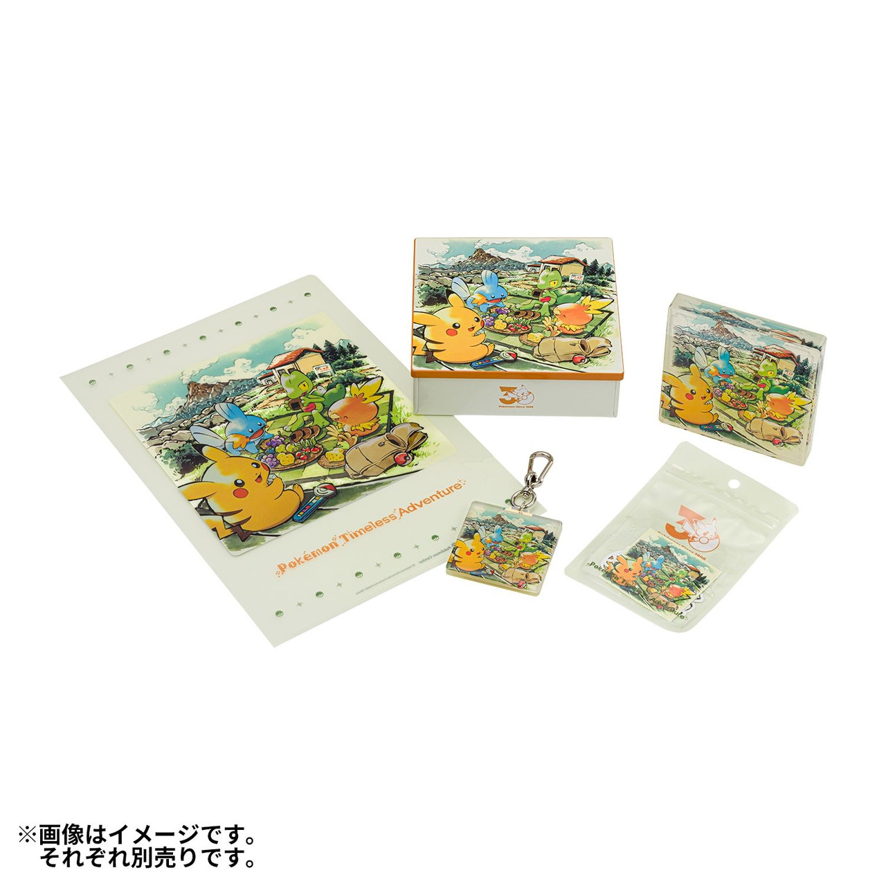 Pokemon Center Original Acrylic Keychain Pokemon Timeless