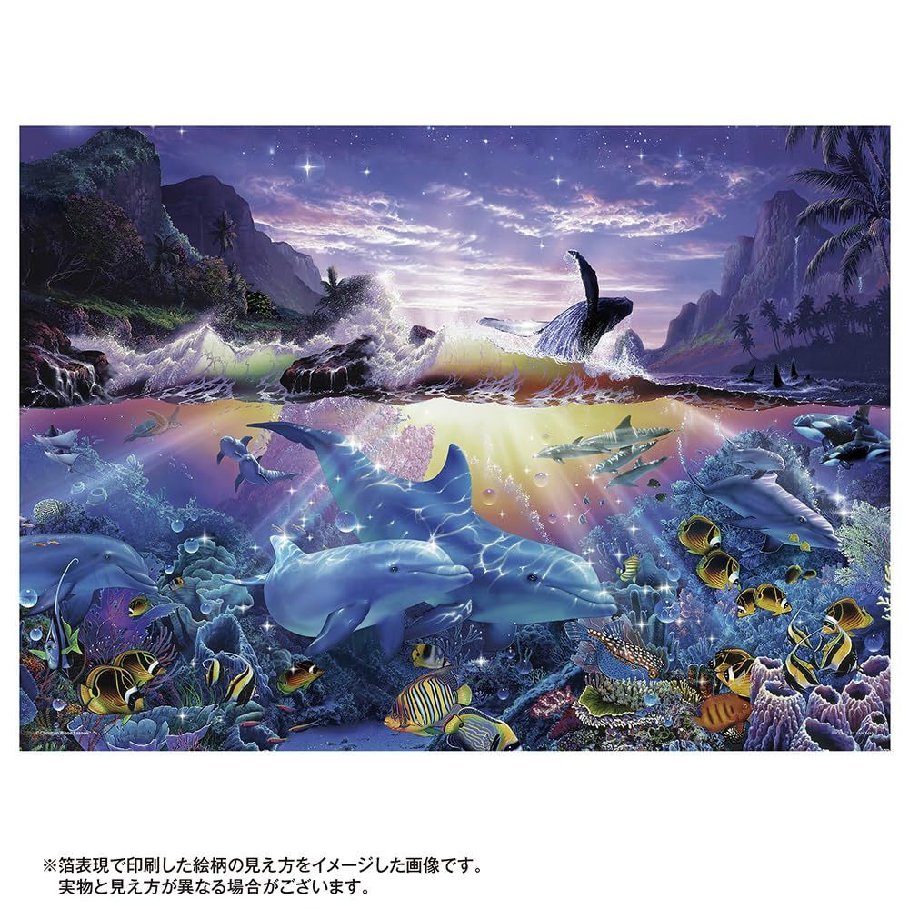 4979817060827_583270ff34269e30