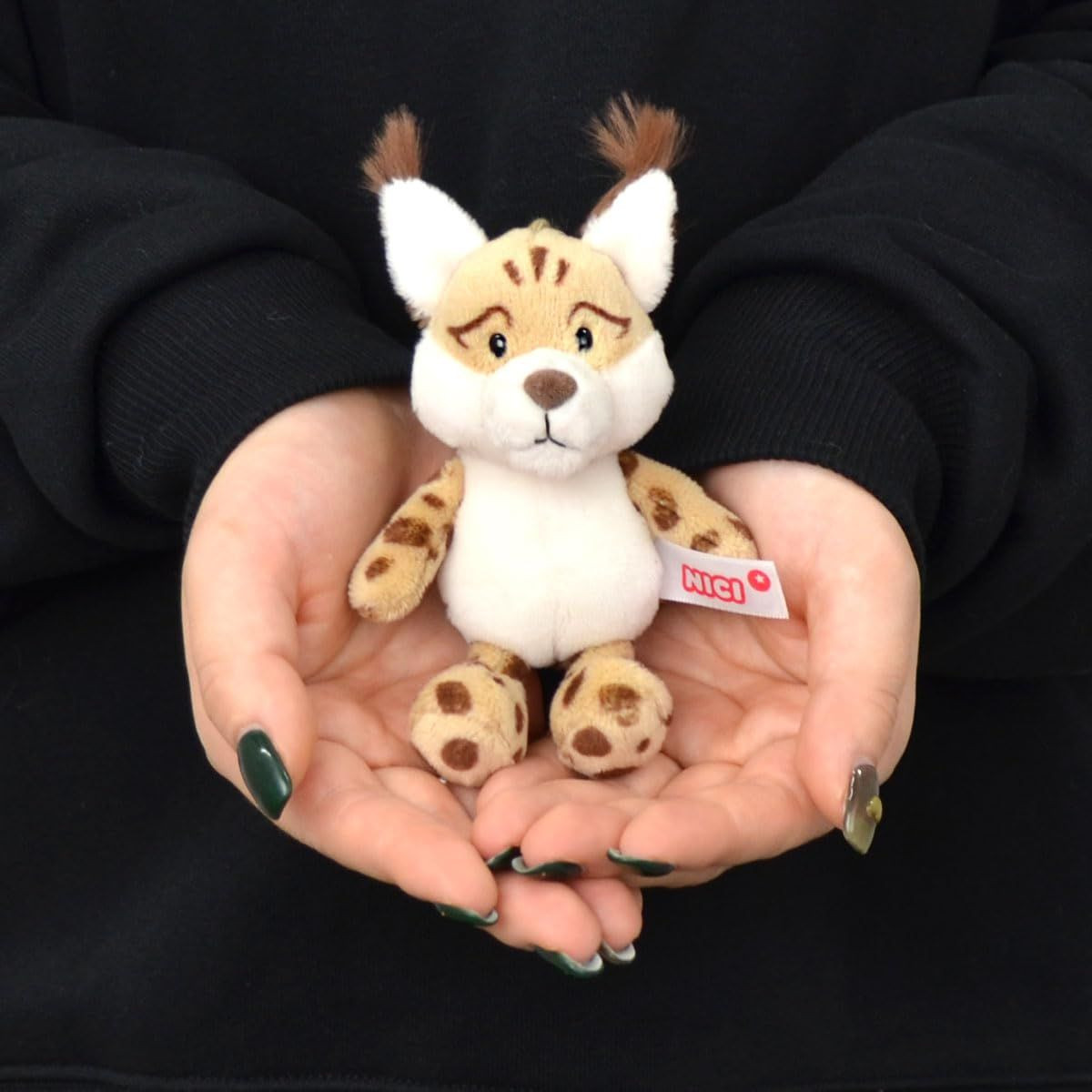 Entrex NICIG BBWF24 Ooyama Neko Laika 10 Centimeters