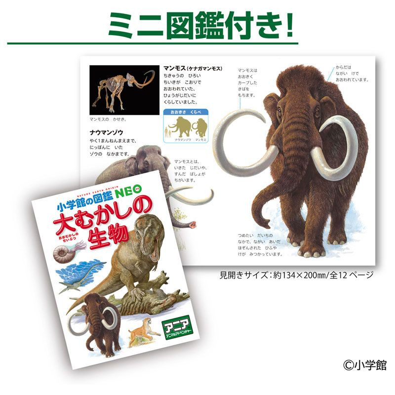 Takara Tomy Ania Shogakukan Encyclopedia Neo Prehistoric Creatures W/m