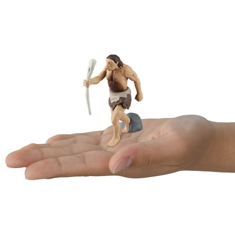 図鑑 Takara Tomy Ania Shogakukan Encyclopedia Neo Prehistoric Creatures W/m