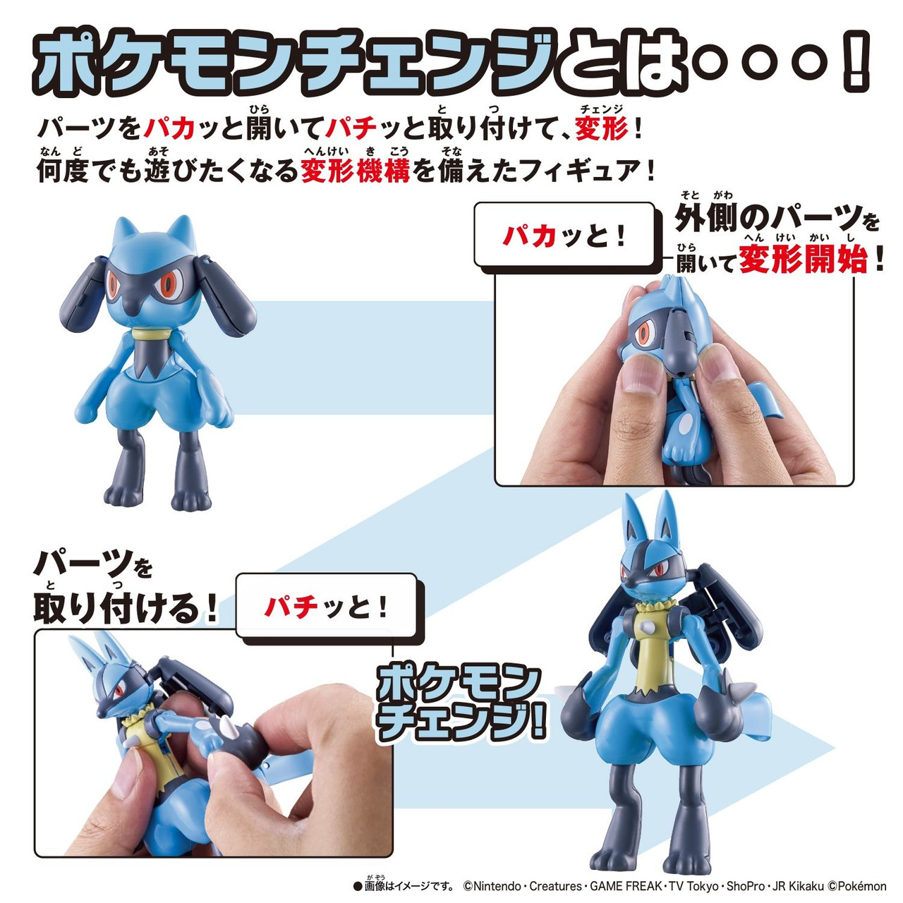 Pokemon Center Original Pokemon Change Riolu / Lucario
