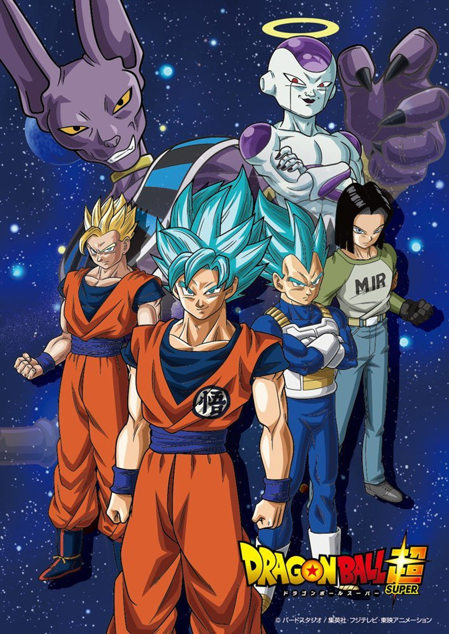 Beverly Jigsaw Puzzle Dragon Ball Universe 7 Plazajapan