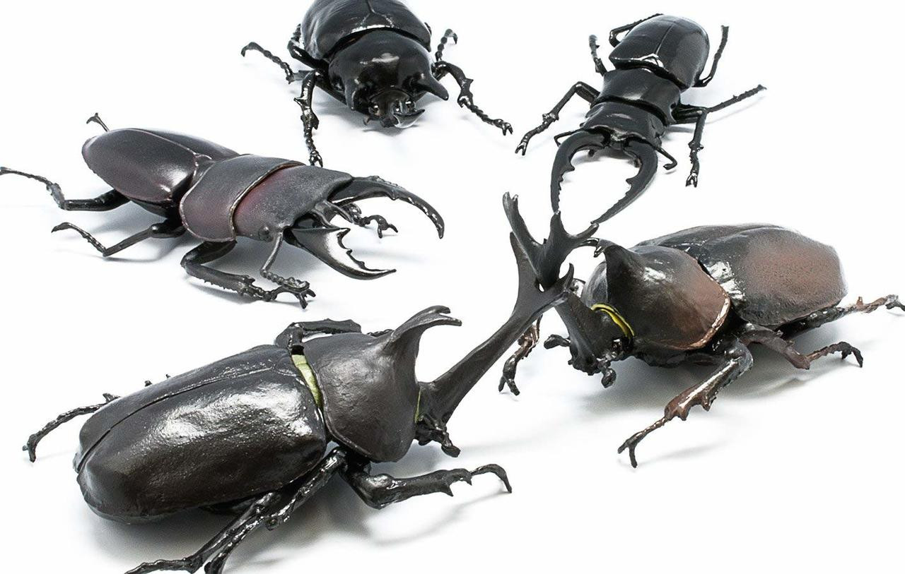 F-toys insect Hunter Rhinoceros Beetle x Stag Beetle 1 BOX 10 pcs. Set