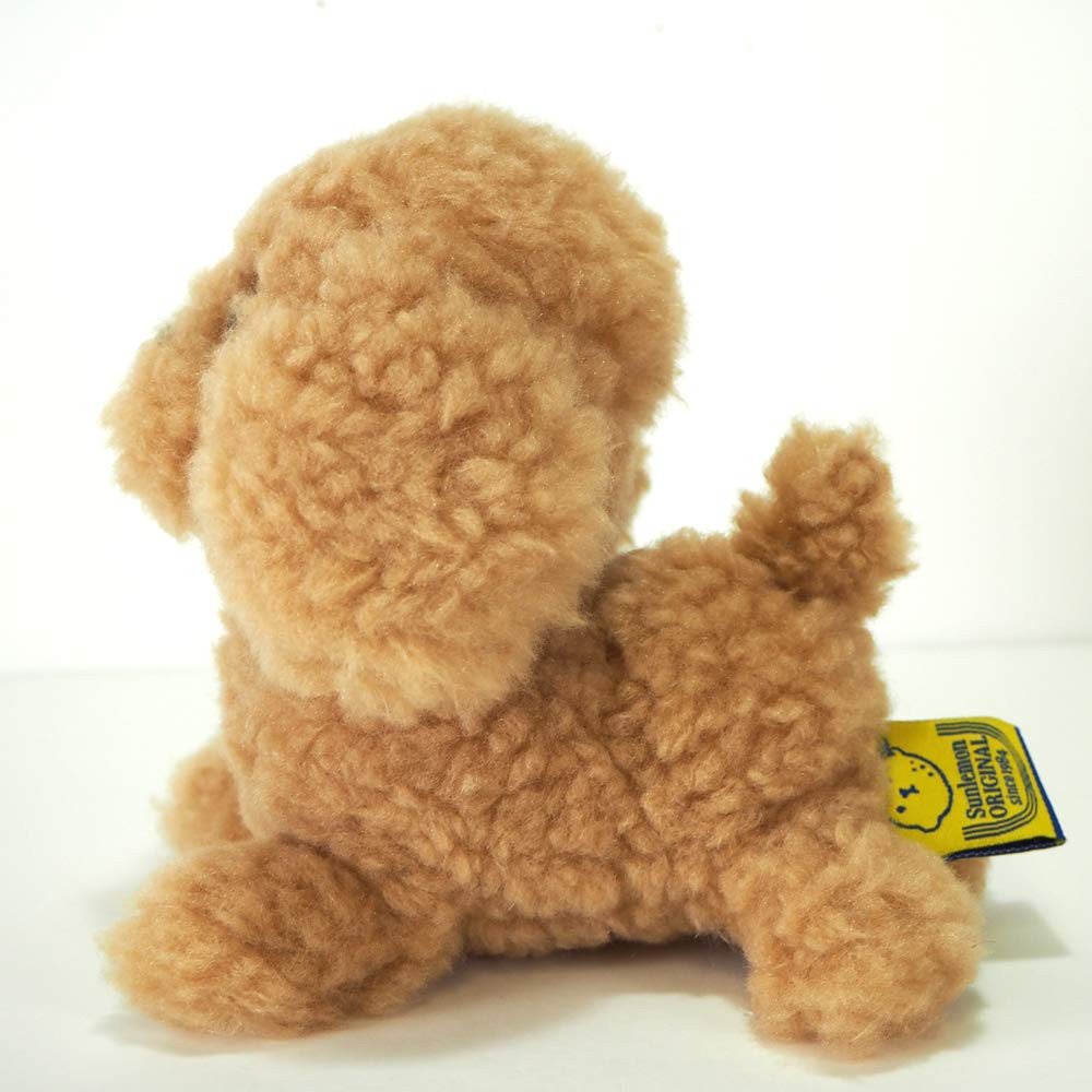 toy poodle beige