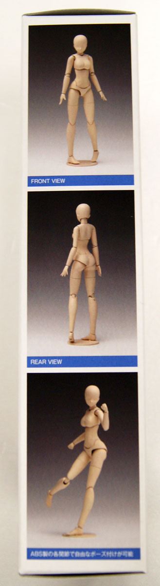 Wave SR021 Movable Body Female Type Standard 1/ | PlazaJapan