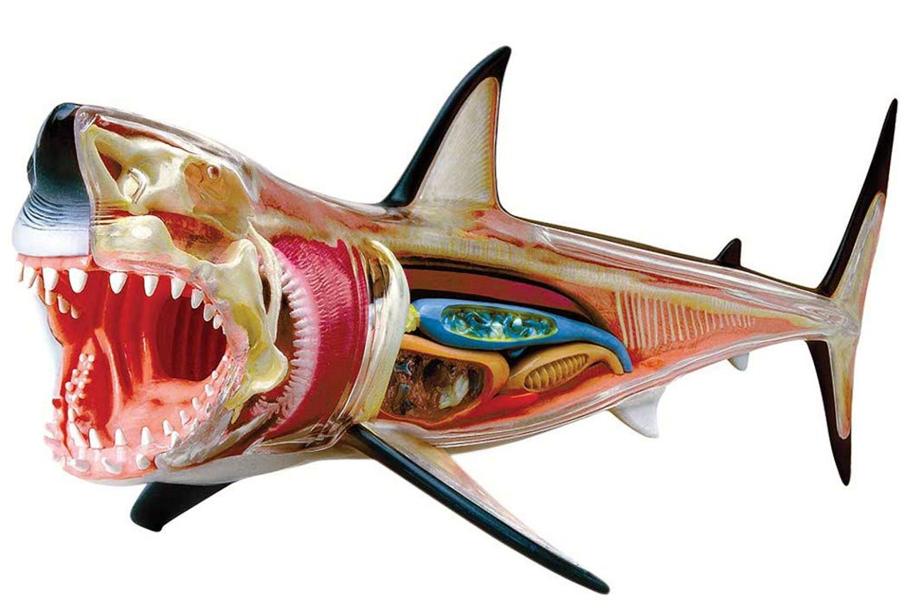 Illustrated Periodontal Surgery 西川雄島著 Illustrated Periodontal Microsurgery: Advanced Technique