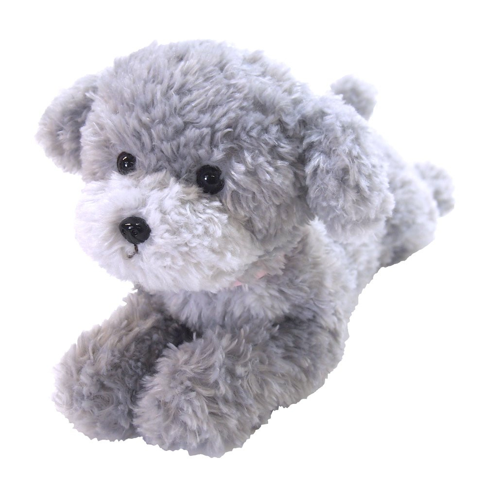 gray toy poodle