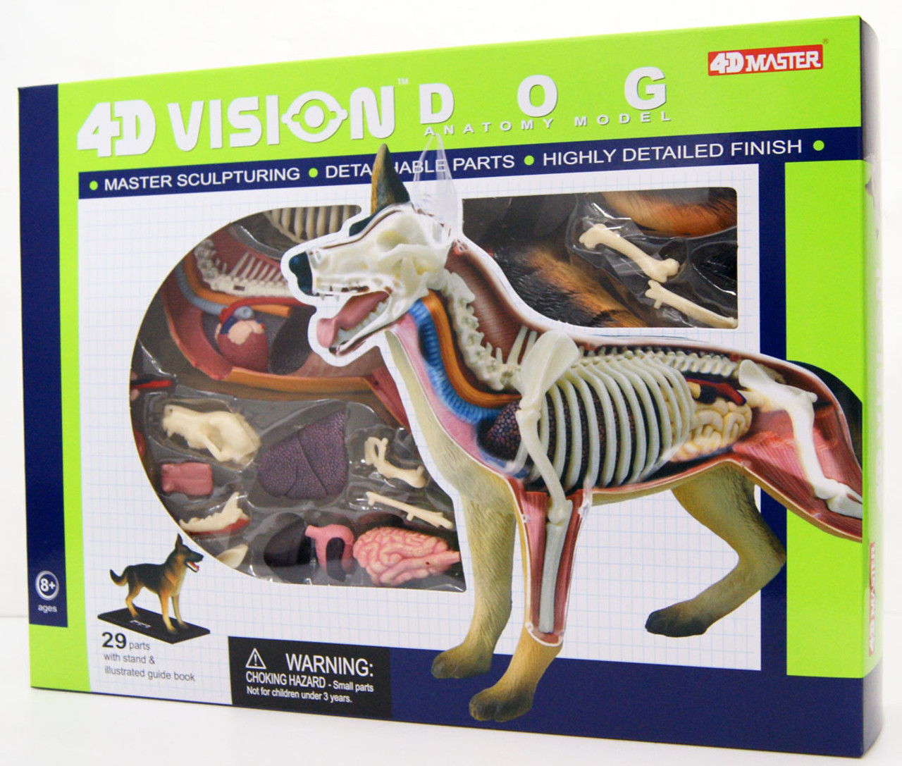 puzzle 4D VISION animal anatomy No.18 dog Anatomy Model Japan 