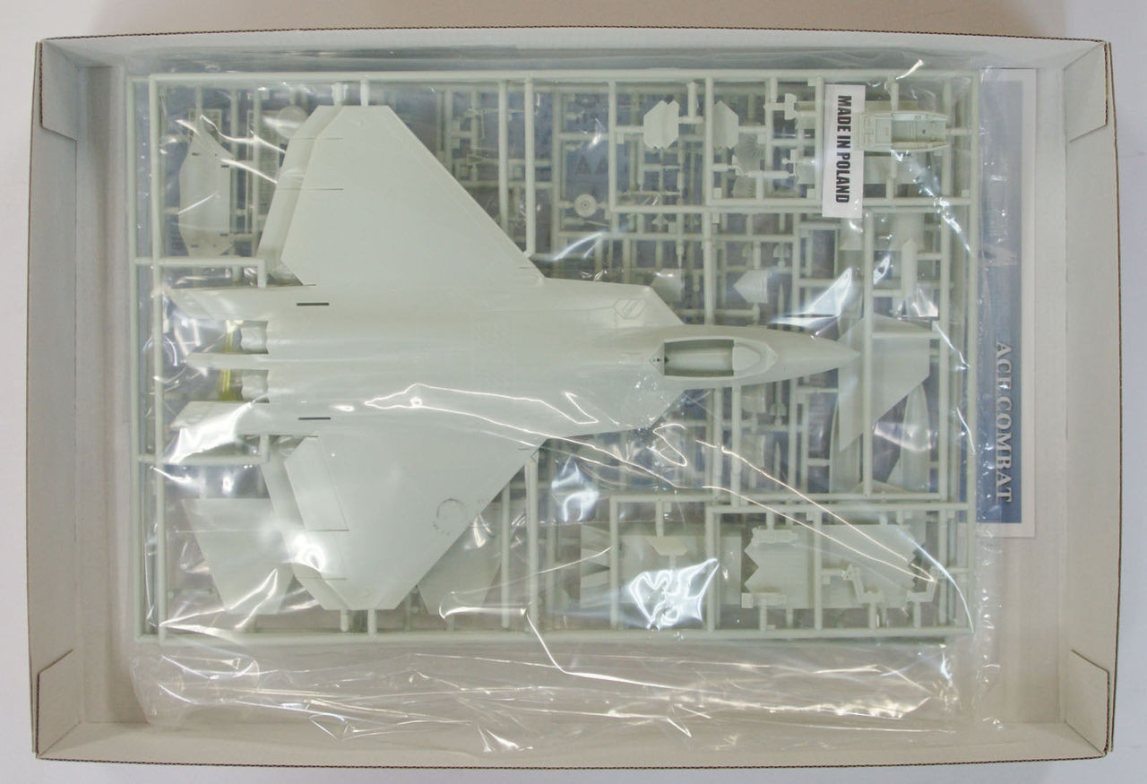 Hasegawa SP311 Ace Combat F-22 Raptor Mobius 1 1/72 Scale Kit